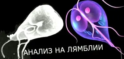 простатит простатит