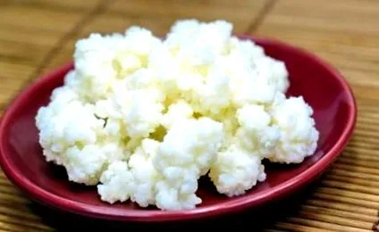 ciuperci chefir