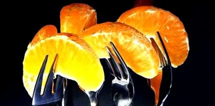 лечебни животна