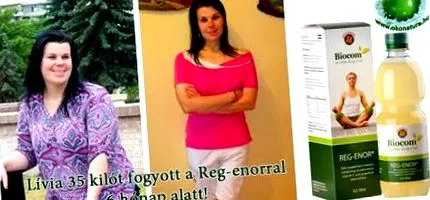 начинаещи ръководство