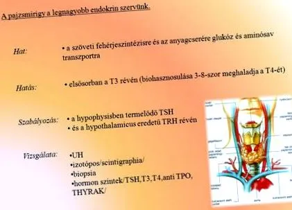 отслабнете хало