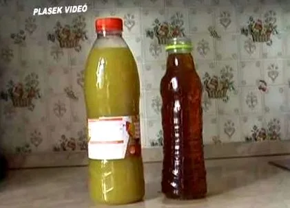 kombucha kombucha