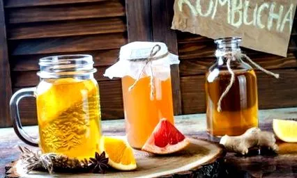 модерните kombucha