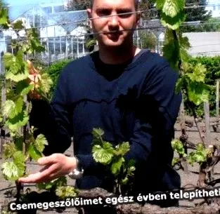 садівництві
