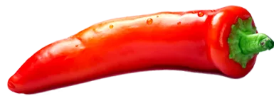 csalogány настаняване