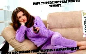 sunt sunt