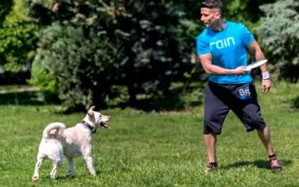 sport câinele