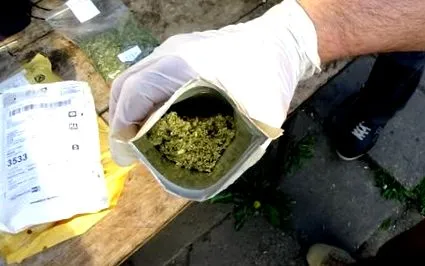 свикнете тревата