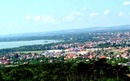 сервитьор дошъл