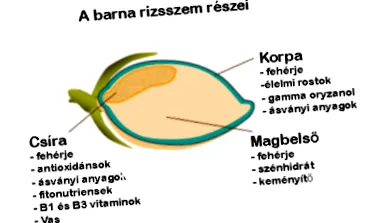 кафяв ориз