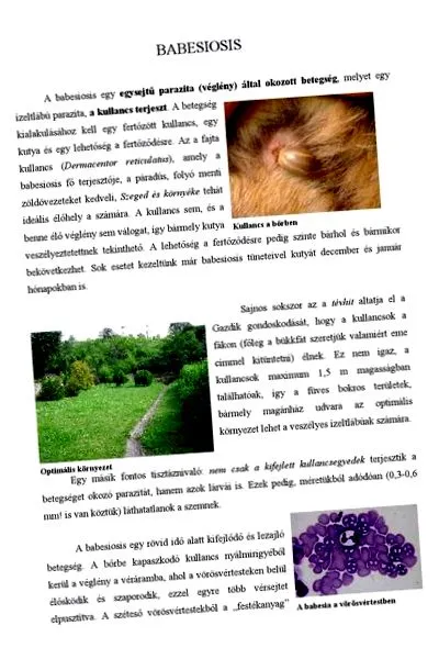 pielea visezi