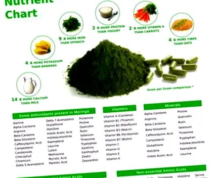 чудното oleifera