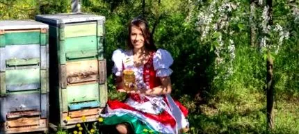 всичко фактите