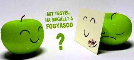 правите правите