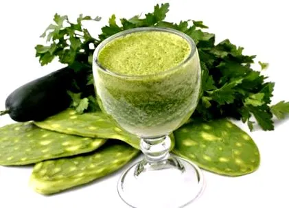 кактус nopal