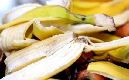 banană banană