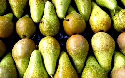 recomandată pere