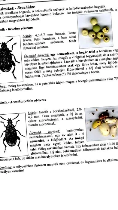 insectelor plantelor