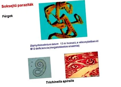 описание продукта