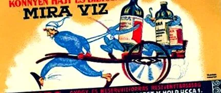 medicinale noastre