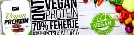 vegan protein