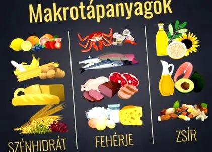 протеини мазнини по-здравословно