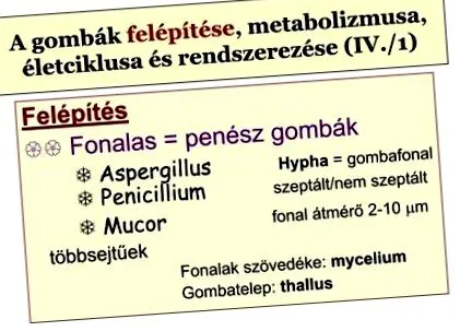 паразити очни