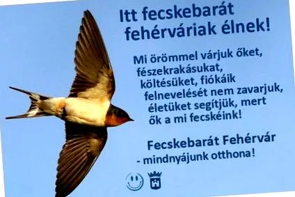 fehérvár градски
