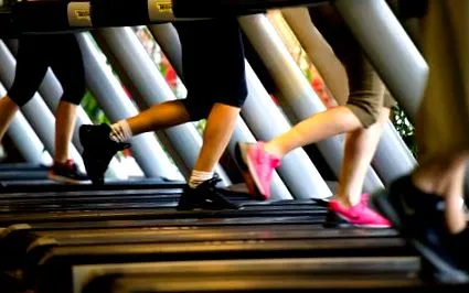 fitness wellness