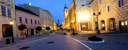 cumpărături rezultate