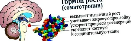 humatrope humatrope
