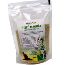 psyllium