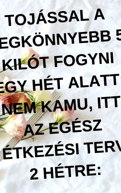tterm съвети
