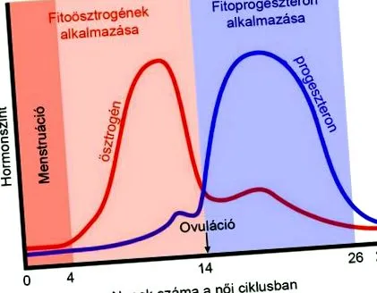 добавка добавка