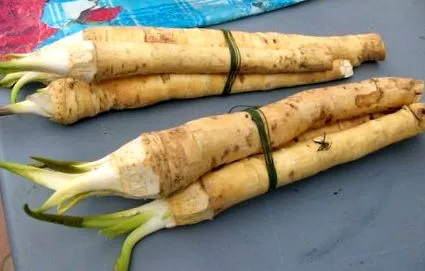 лечебният супени лъжици
