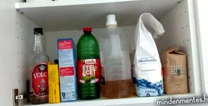 никакви домакинство