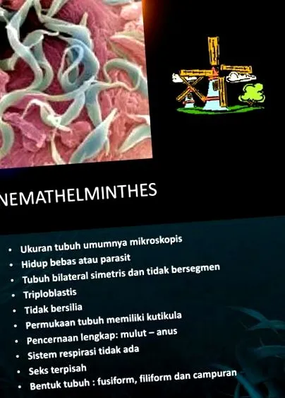 urut започнете диета