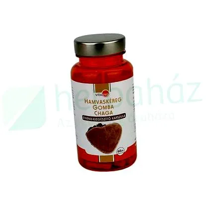 chaga гъби