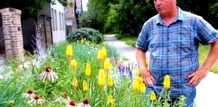 придумав містах