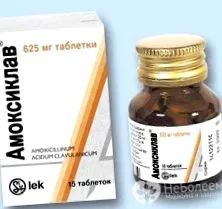 изолирана аскаридоза аскаридоза