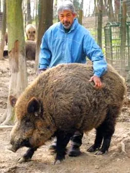 бурчить
