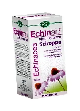 echinaid echinaid