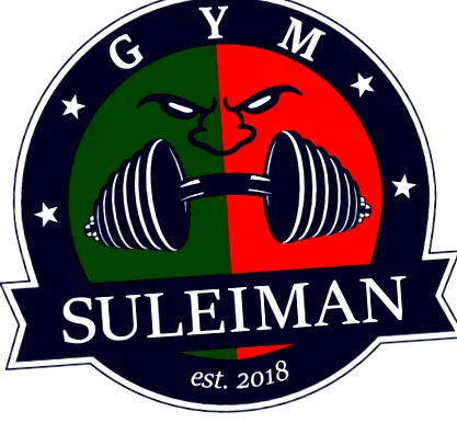 1193 suleiman