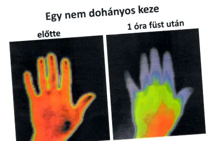 защо тютюнопушенето