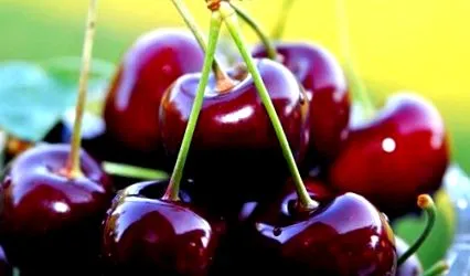fructe delicioase