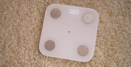 body body