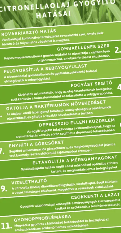 йопофа йопофа