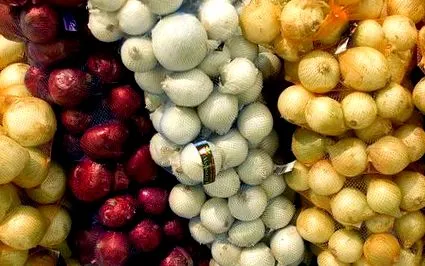 лікувальна Лікувальна цибулі