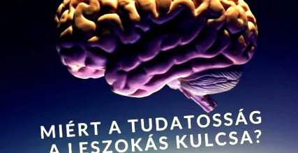 девід палити