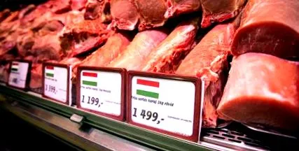 предлаганото овче